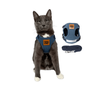 "The Jean Jacket" Limited Edition Cat Harness & Leash Set - Medium