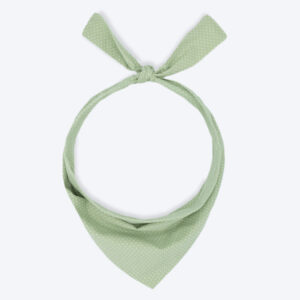 PARTY BANDANA - Mint Polkadot, XS